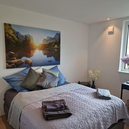 Stadtnahes Gaestezimmer Im Penthouse Bei Esi Tubinga Esterno foto