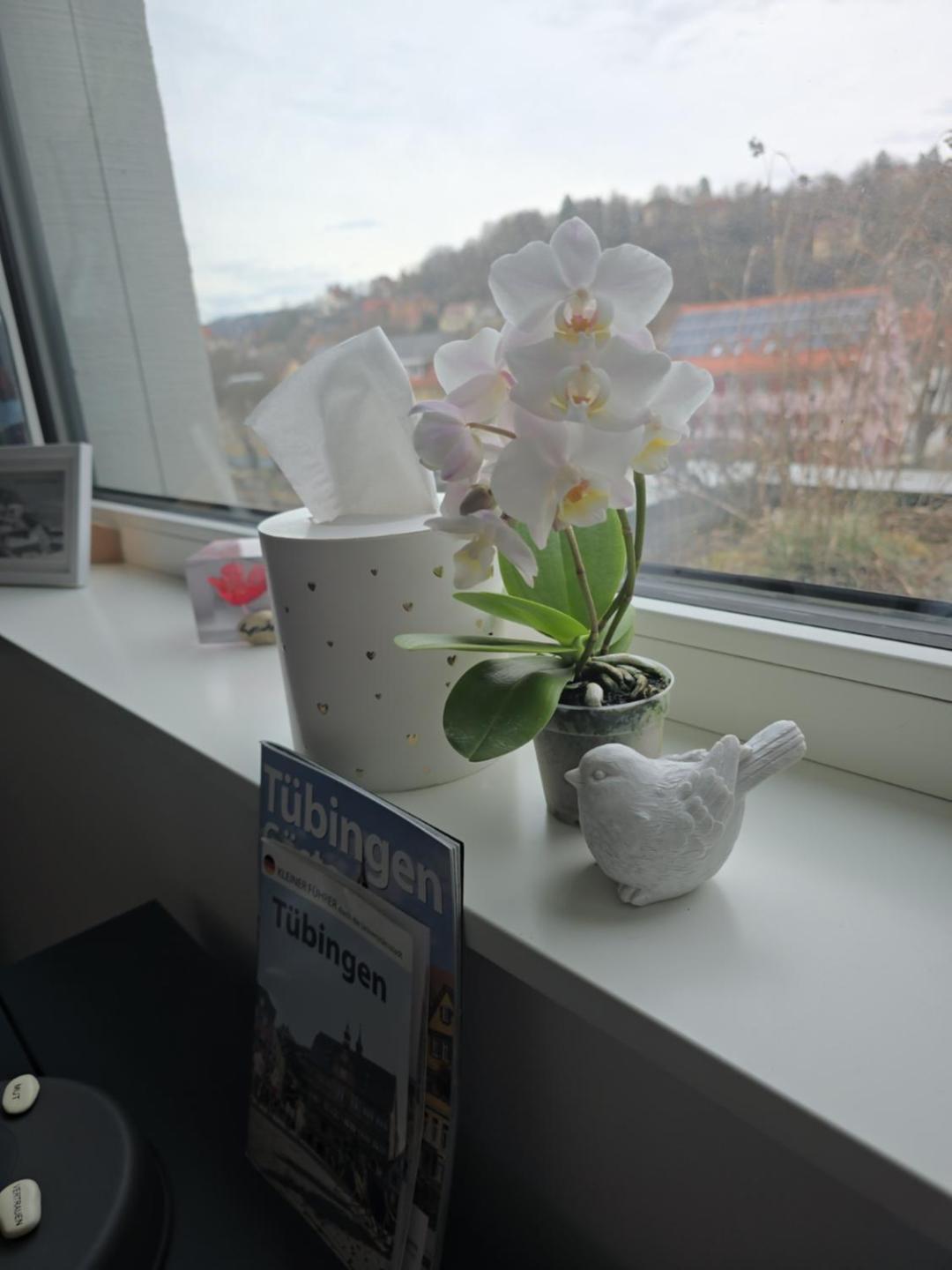 Stadtnahes Gaestezimmer Im Penthouse Bei Esi Tubinga Esterno foto