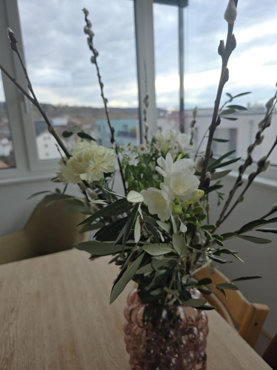 Stadtnahes Gaestezimmer Im Penthouse Bei Esi Tubinga Esterno foto